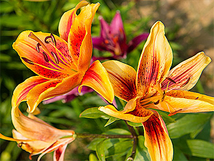 MK体育官网产品展示八